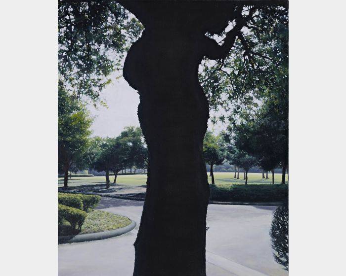 樹幹 trunk