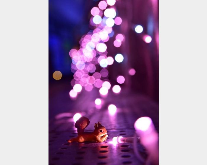 LIGHT THE LIGHT