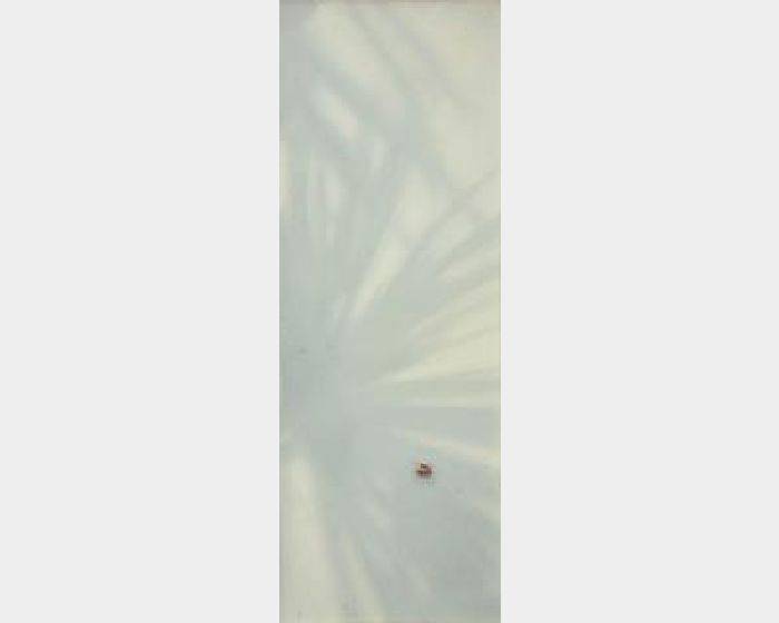 There- no. 33 The shade and a shield bug