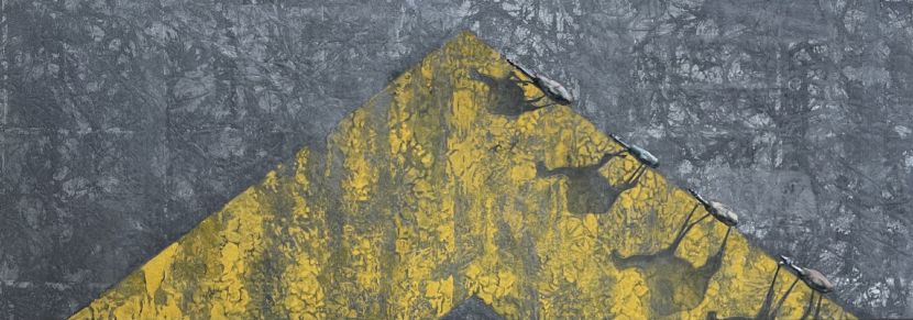 白田誉主也-Home