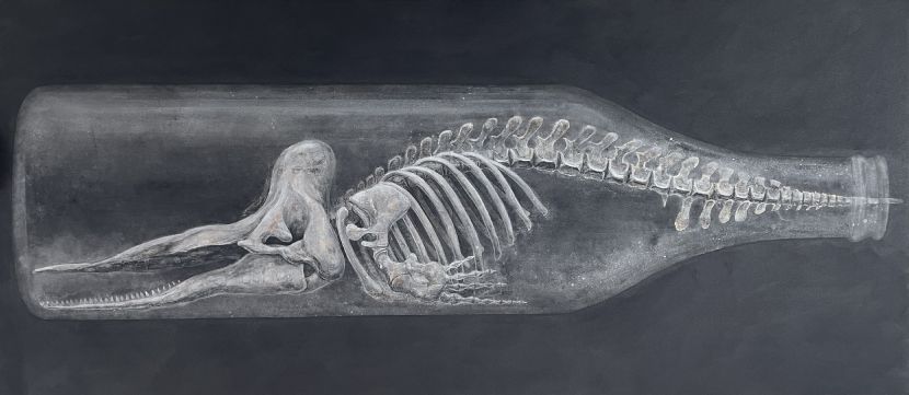 白田誉主也-Sperm Whale