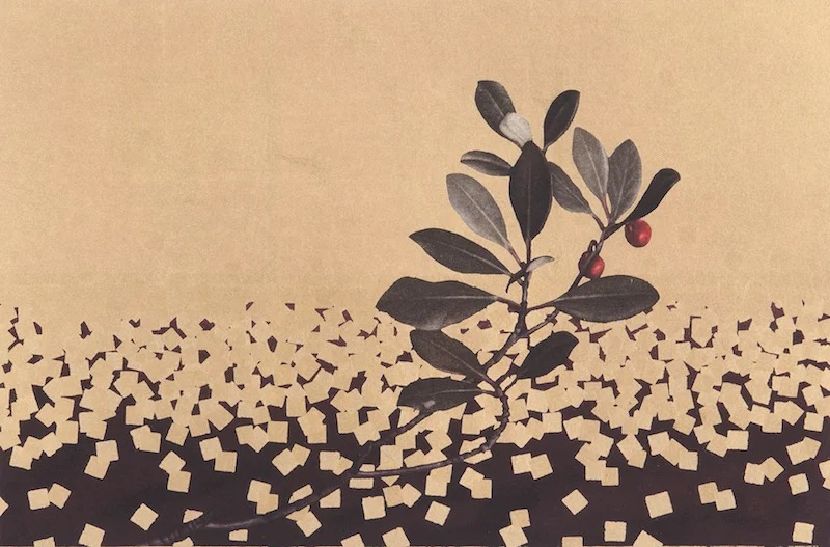 宮山廣明-松風