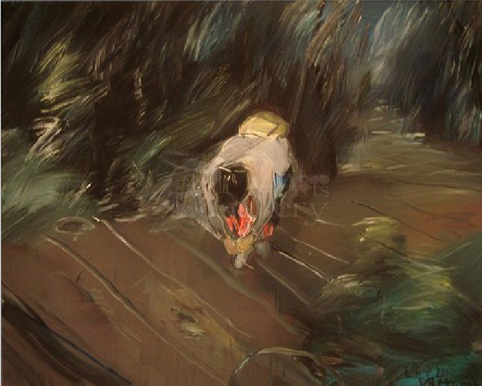 去小九寨溝的途中