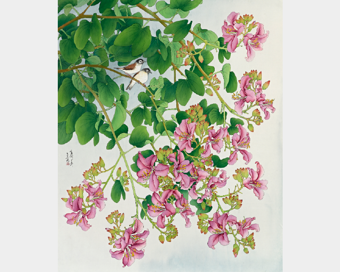 豔紫荊與繡眼畫眉 