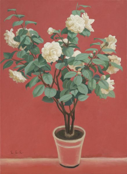 林麗玲-白茶花 White Camellia 