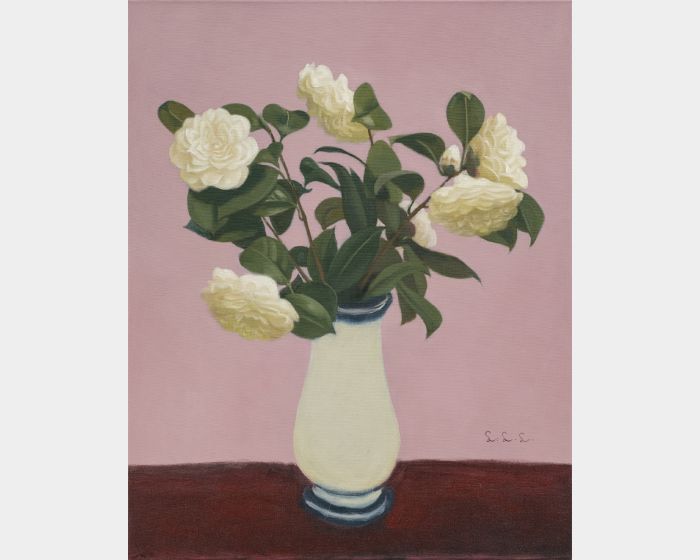 白茶花 White Camellia