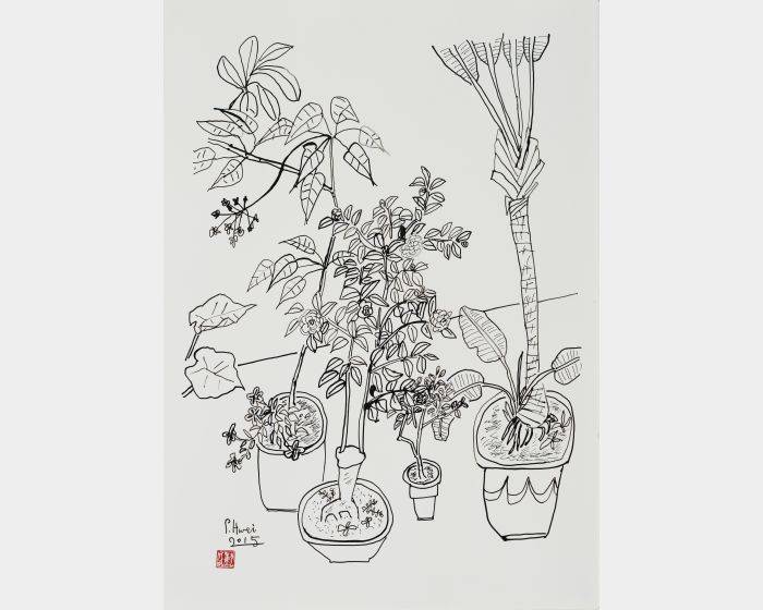 老院子素描之七