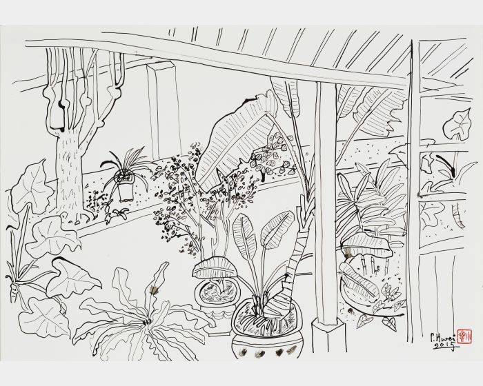 老院子素描之八