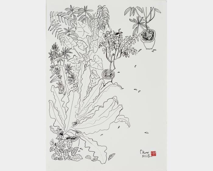 老院子素描之十