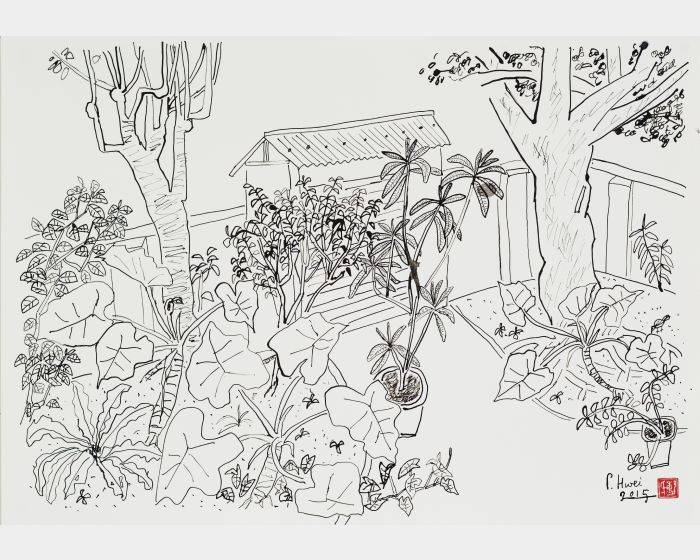 老院子素描之五