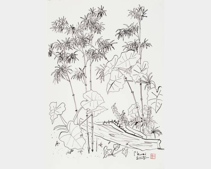 老院子素描I-修竹