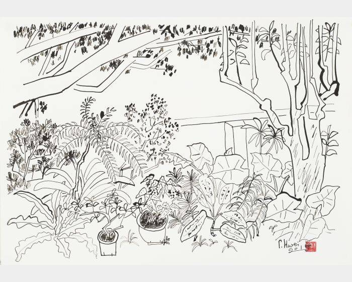 老院子素描IV-野趣