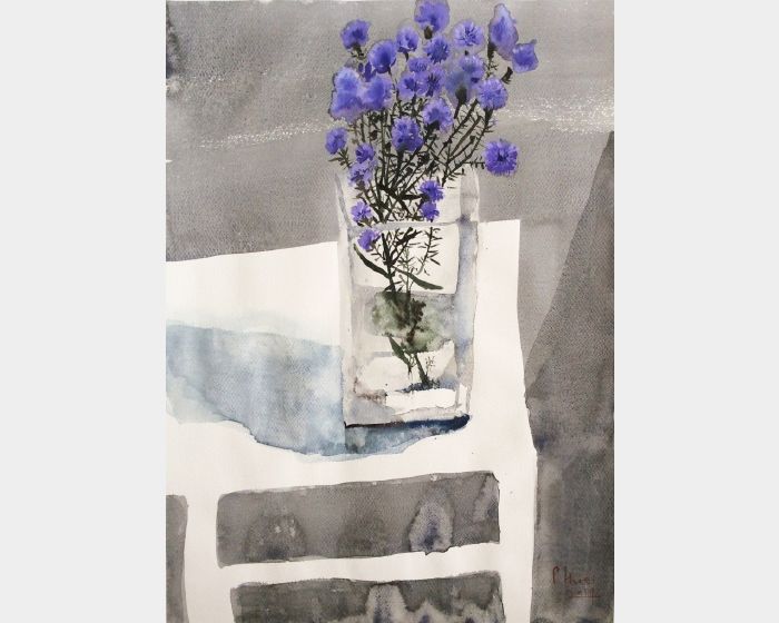 清新-紫色小雛菊