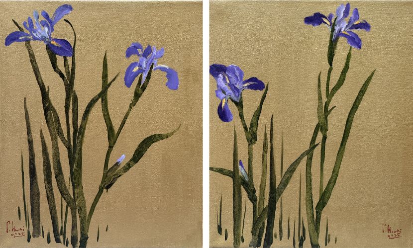 董小蕙-金色鳶尾