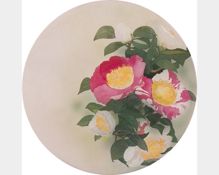 悠閒～肥後山茶花