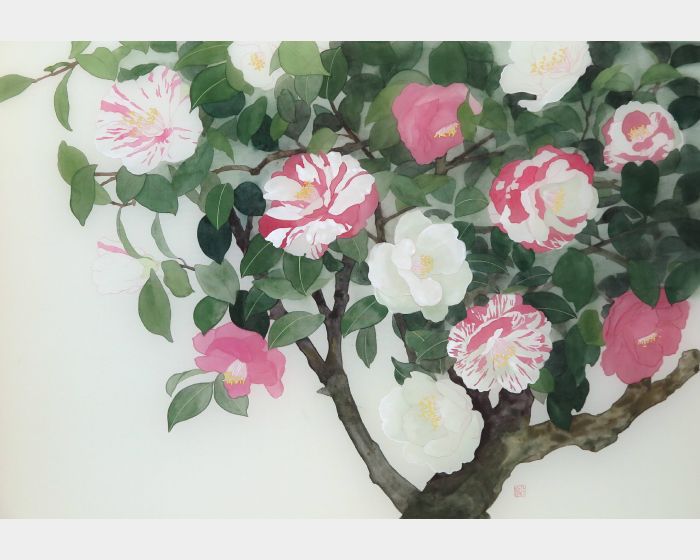 彩～五色山茶花～