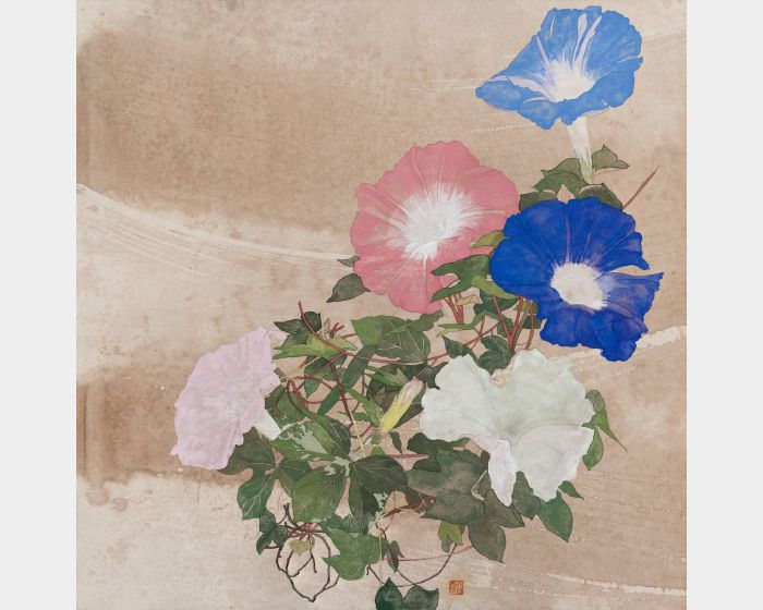 彩～肥後朝顏～