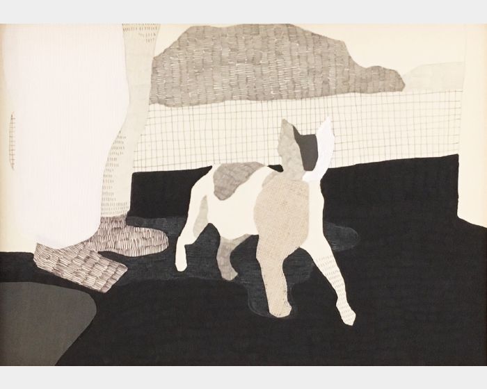 動物的生存姿態-摯友的貓