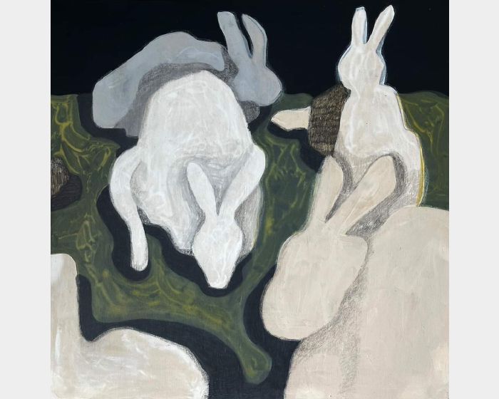 群兔-01 ( The Rabbits-01 ) 