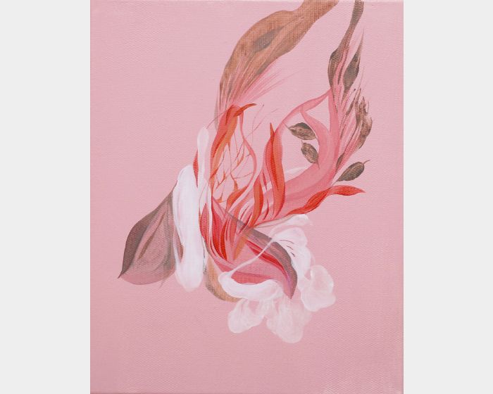 粉色夢境	Illusion	