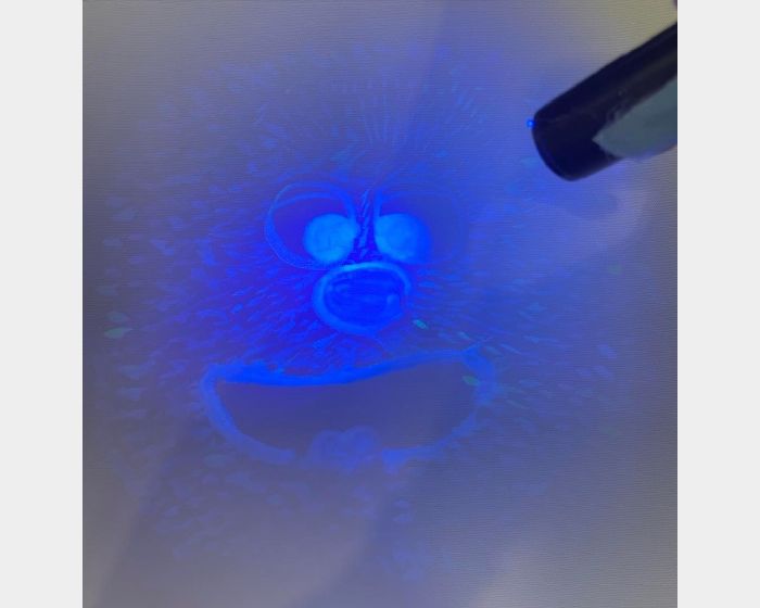 「看到你了古德」（there you are, Good)