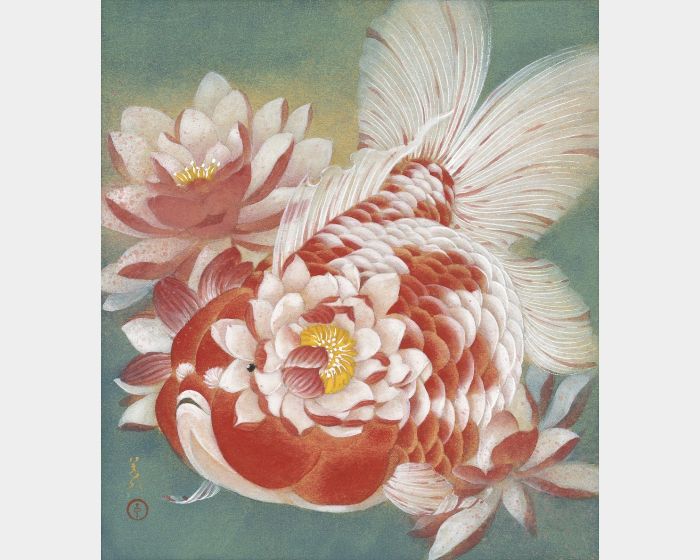 雙魚星 睡蓮