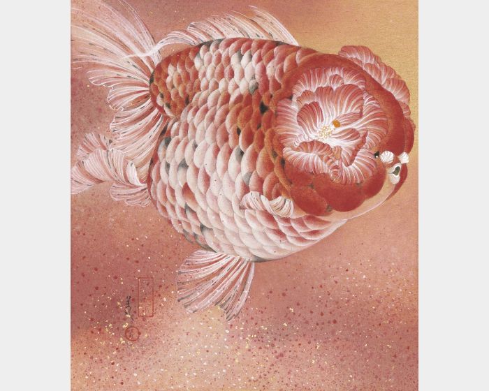天秤星 木芙蓉