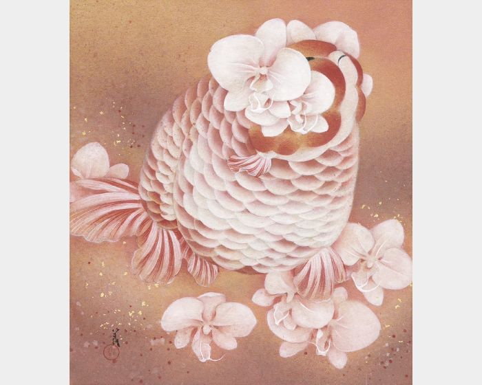 水瓶星 蝴蝶蘭