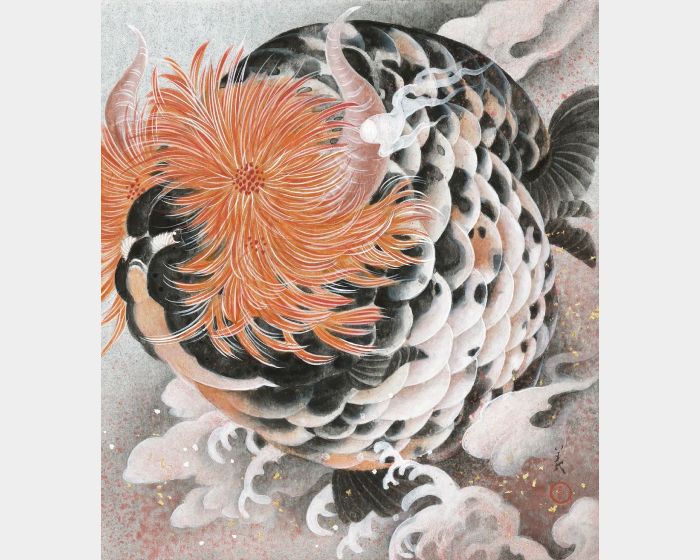 金牛星 萬壽菊
