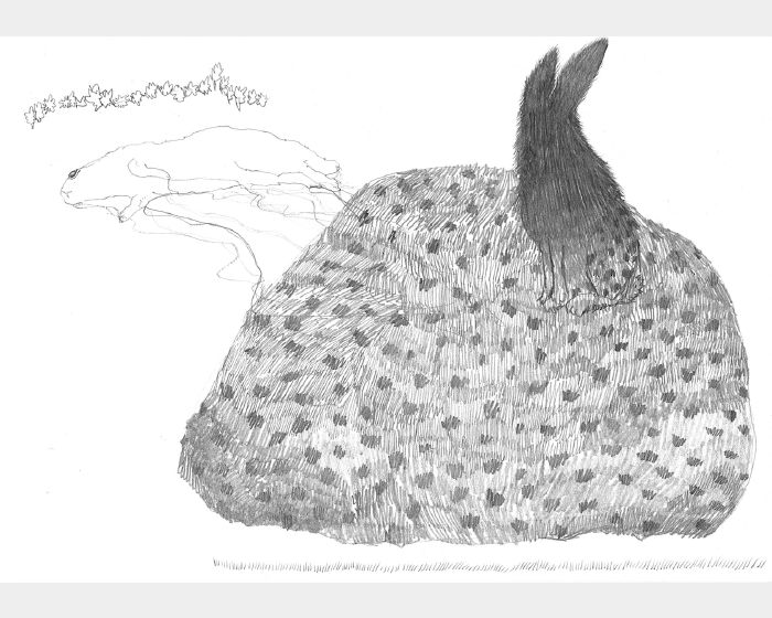 假如我是一顆長滿青苔的岩石