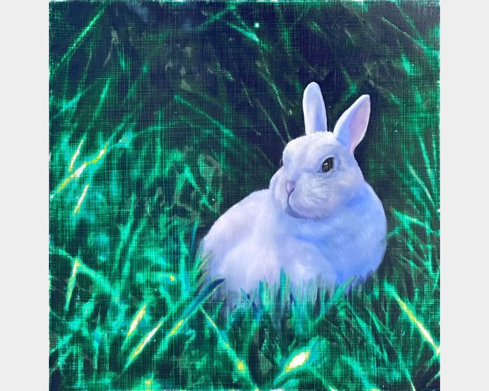 12生肖-錦兔靜野