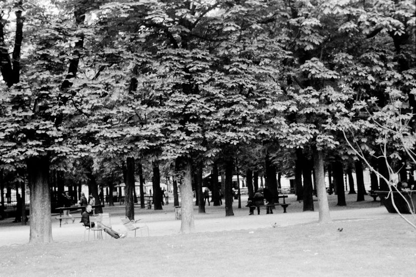 嚴仲唐- In the Park, Paris