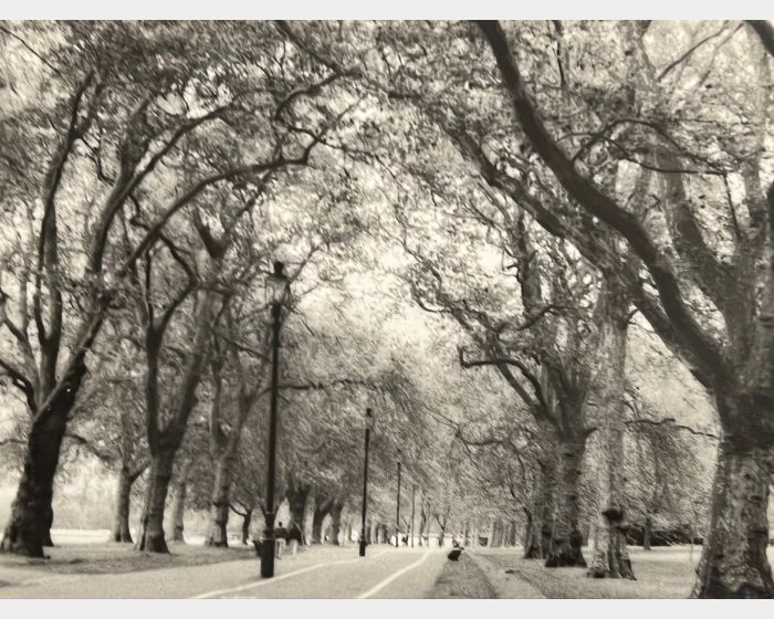 Park Tunnel  ，London