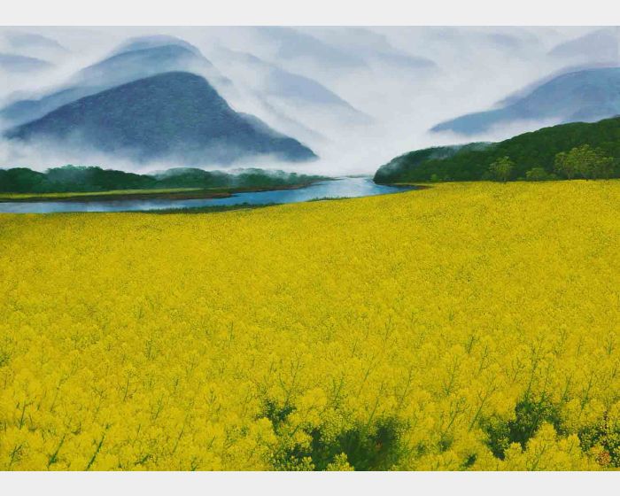 油菜花田 Field of Rapeseed Blossoms
