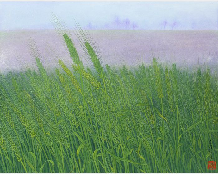 青青小麥 Green Wheat