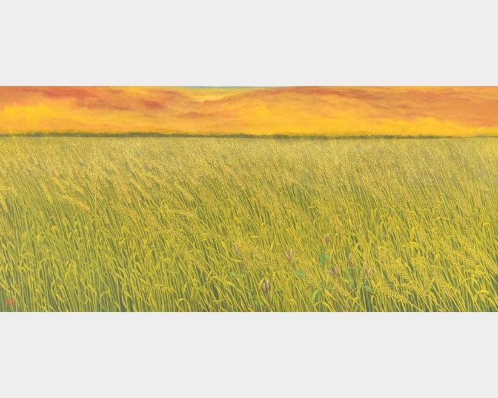 麥子成熟 Ripened Wheat