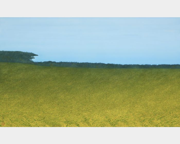 黃金海岸 Golden Coast