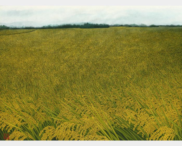 黃金稻田 Fields of Golden Grain
