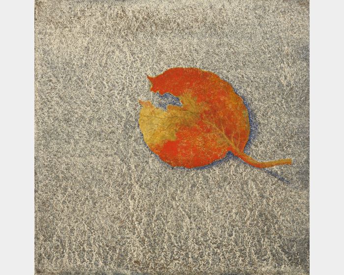 秋天的記憶 Memories of Autumn