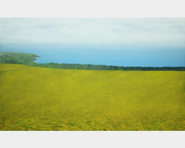 黃金海岸 Golden Coast