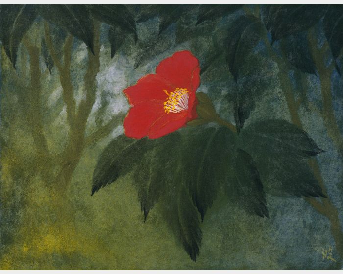 鳳凰山茶 Camellia Japonica