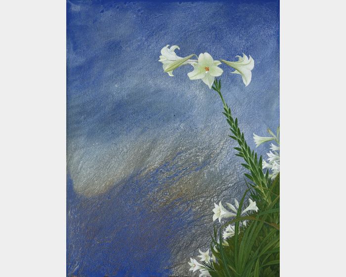 初夏百合 Lilies in Early Summer