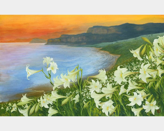 金山富貴角百合 Lilies at Fugui Cape, Jinshan