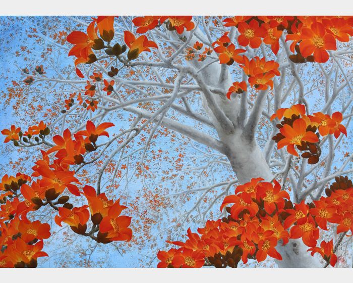 紅棉01 Red Kapok 01