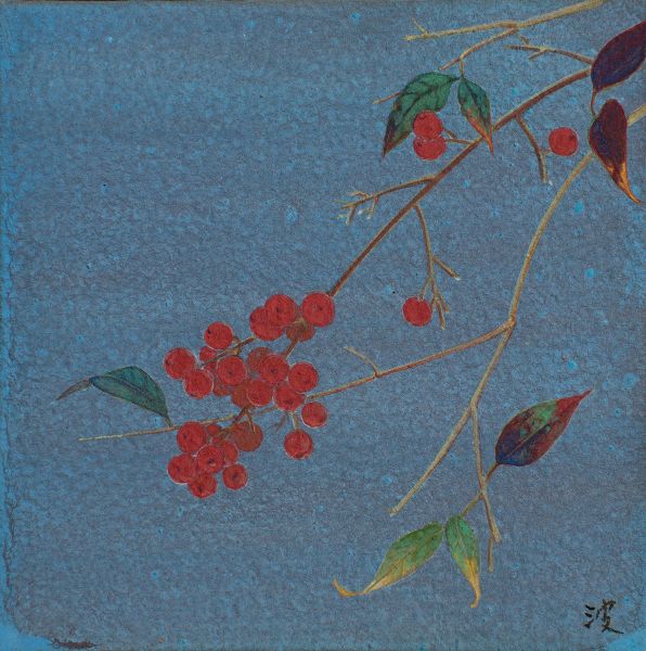 洪江波 홍쨩포어-南天竹