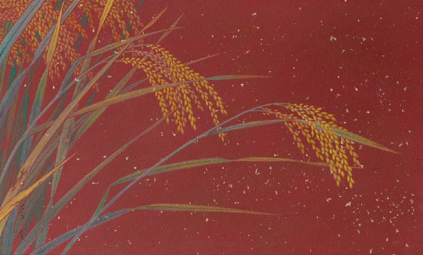 洪江波 -金穗報喜