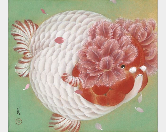 雙魚星 鬱金香