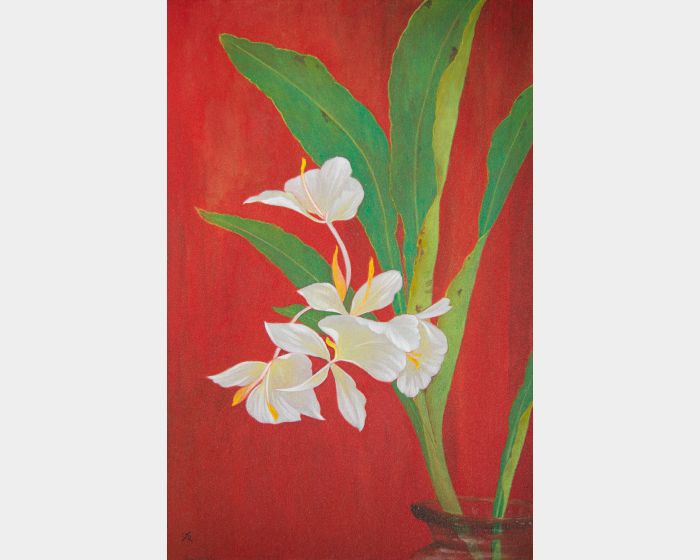 野薑花