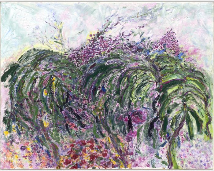 迷戀龜背 Life is but a dream