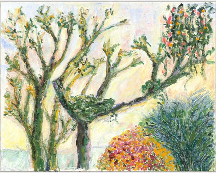 窗內一角 Lazy day